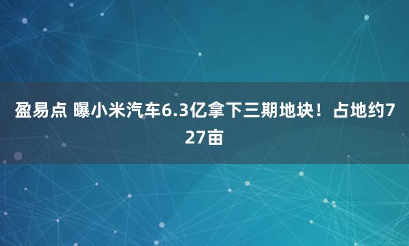 盈易点 曝小米汽车6.3亿拿下三期地块！占地约727亩
