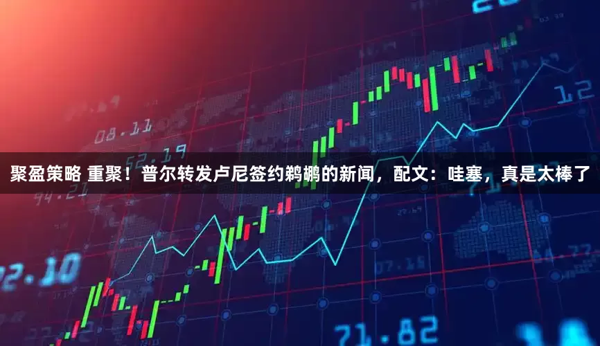 聚盈策略 重聚！普尔转发卢尼签约鹈鹕的新闻，配文：哇塞，真是太棒了