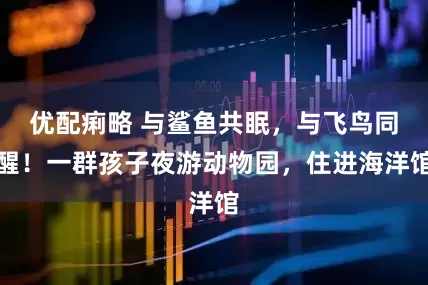 优配痢略 与鲨鱼共眠，与飞鸟同醒！一群孩子夜游动物园，住进海洋馆
